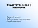 Обложка для материала Презентация по предмету Эффективное поведение на рынке труда "Трудоустройство"