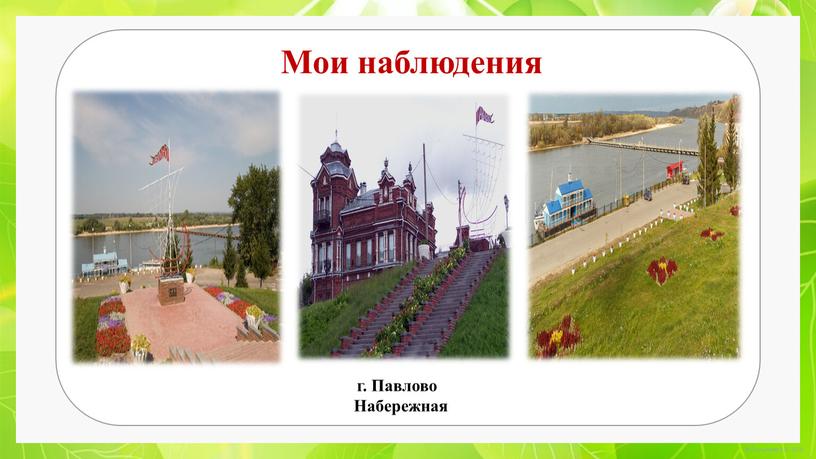 Мои наблюдения г. Павлово Набережная