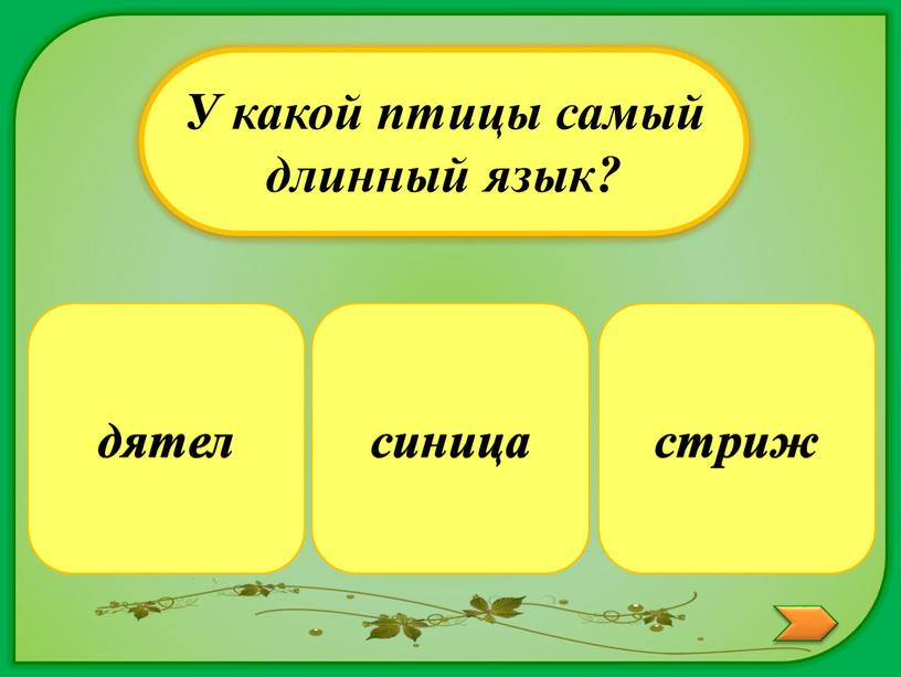 У какой птицы самый длинный язык? стриж синица