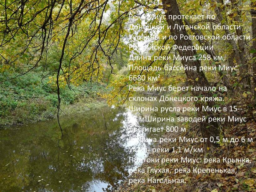Река Миус протекает по Донецкой и