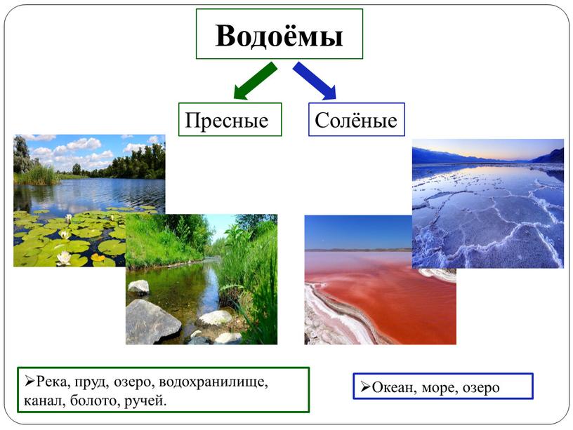 Водоёмы Пресные Солёные Океан, море, озеро