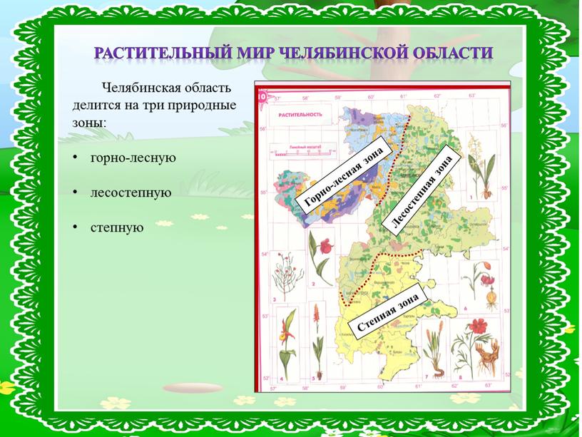 Челябинская область делится на три природные зоны: горно-лесную лесостепную степную