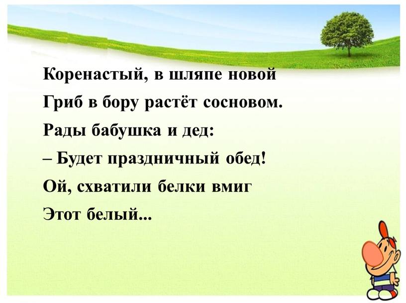 Коренастый, в шляпе новой Гриб в бору растёт сосновом