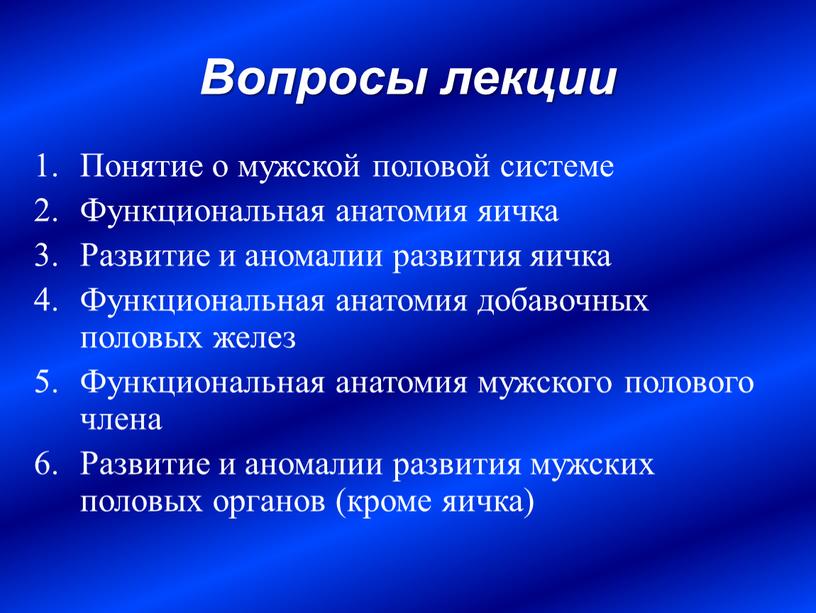 Вопросы лекции Понятие о мужской половой системе