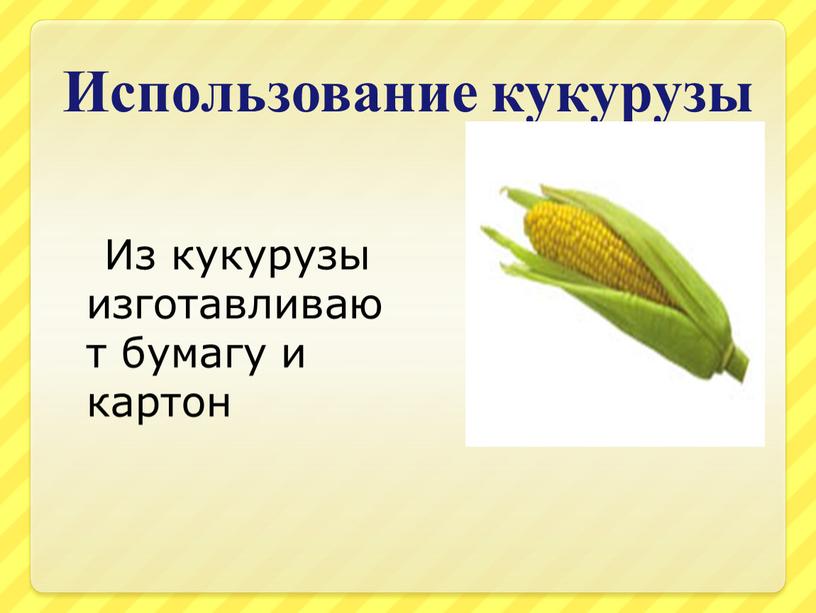 Использование кукурузы Из кукурузы изготавливают бумагу и картон