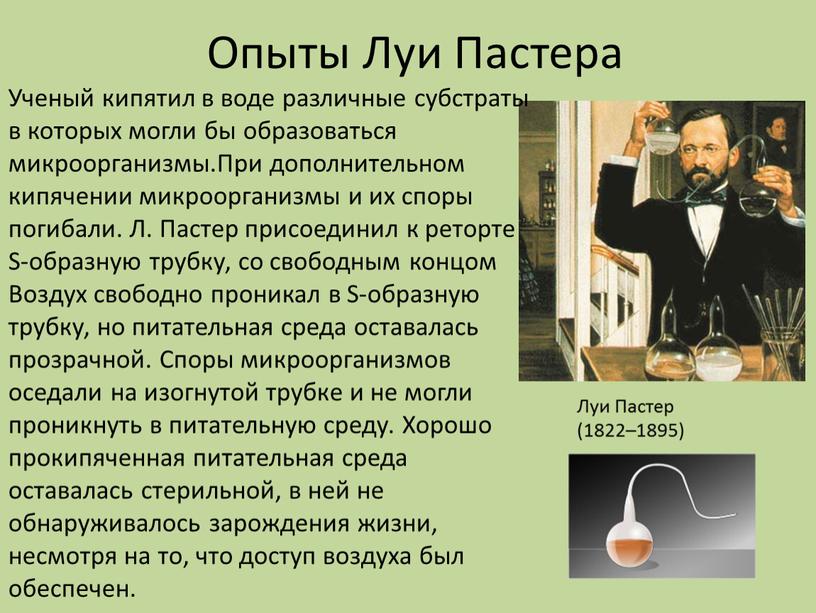 Опыты Луи Пастера Ученый кипятил в воде различные субстраты в которых могли бы образоваться микроорганизмы