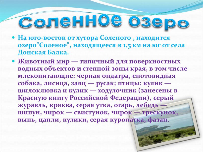 На юго-восток от хутора Соленого , находится озеро"Соленое", находящееся в 1,5 км на юг от села