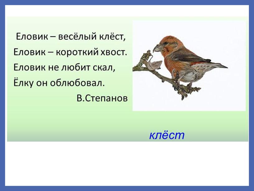 Изложение на тему: "Птенцы зимой" (презентация по русскому языку во 2 классе)