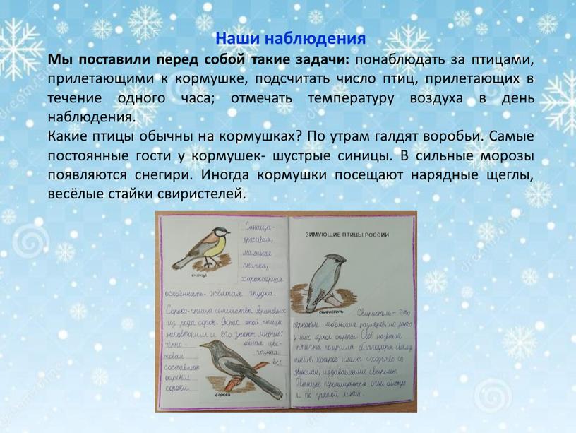 Наши наблюдения Мы поставили перед собой такие задачи: понаблюдать за птицами, прилетающими к кормушке, подсчитать число птиц, прилетающих в течение одного часа; отмечать температуру воздуха…