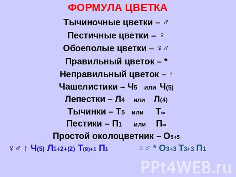 Вегетативные органы растений.