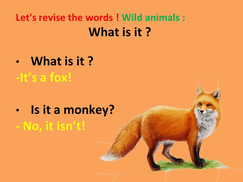 Let's revise the words ! Wild animals :