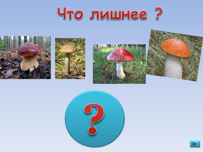 Что лишнее ? ?