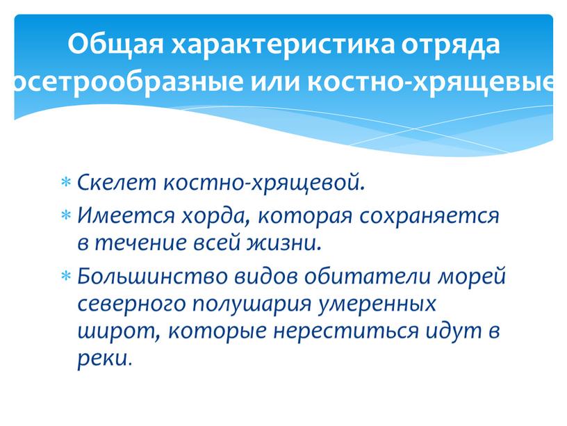 Скелет костно-хрящевой. Имеется хорда, которая сохраняется в течение всей жизни