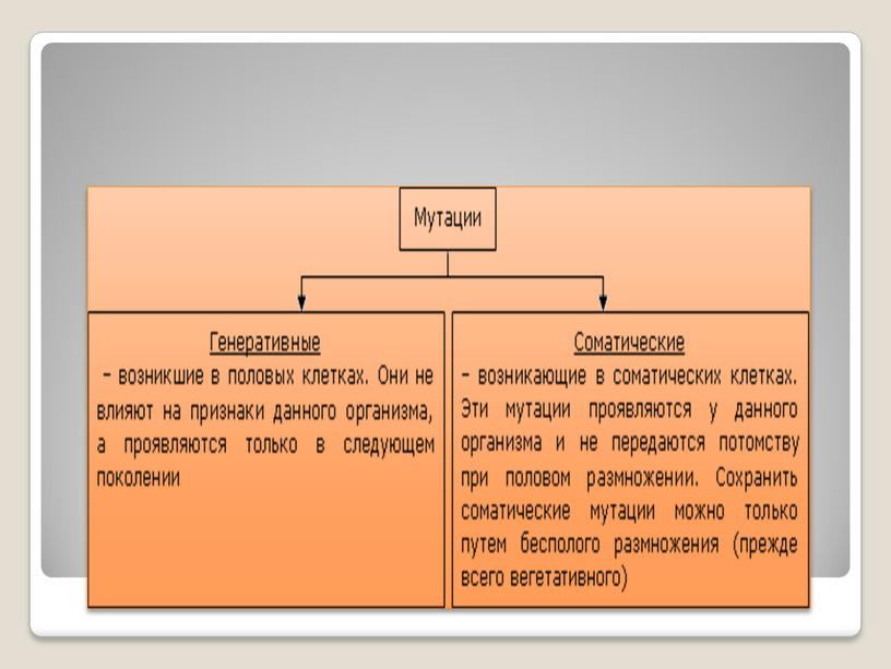 Классификация мутаций по месту их возникновения