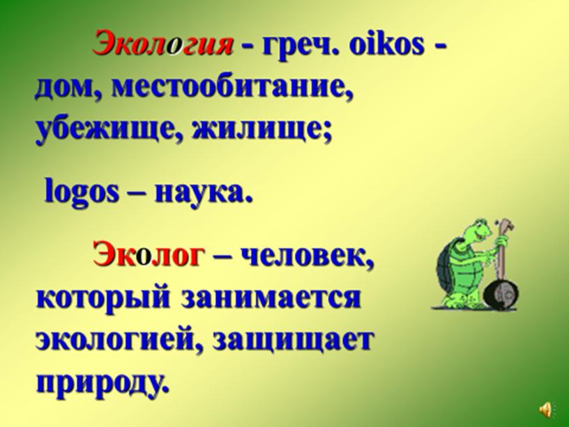 Нестандартный урок окружающего мира во 2 классе «Экология. Путешествие по экологической тропе»