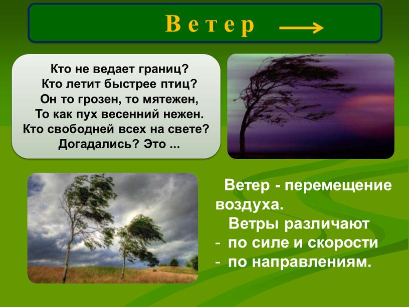 В е т е р Кто не ведает границ?