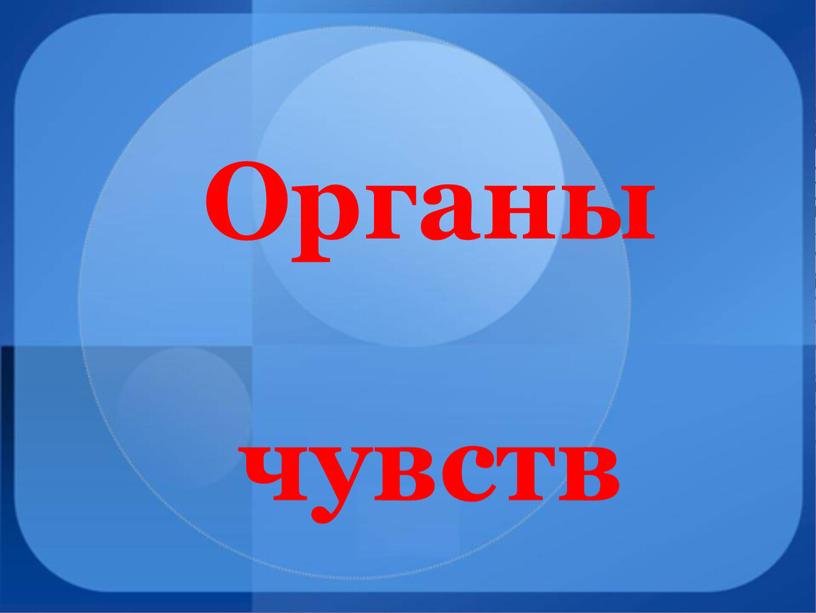 Органы чувств