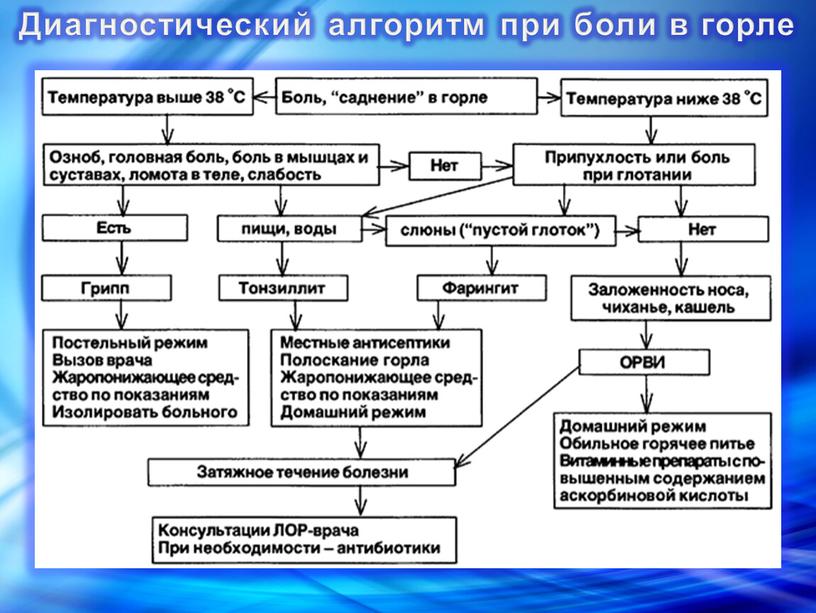 Диагностический алгоритм при боли в горле