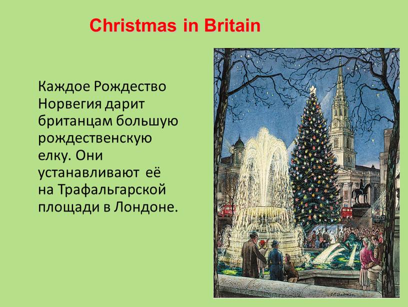 Каждое Рождество Норвегия дарит британцам большую рождественскую елку