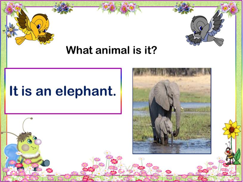 What animal is it? It is an elephant