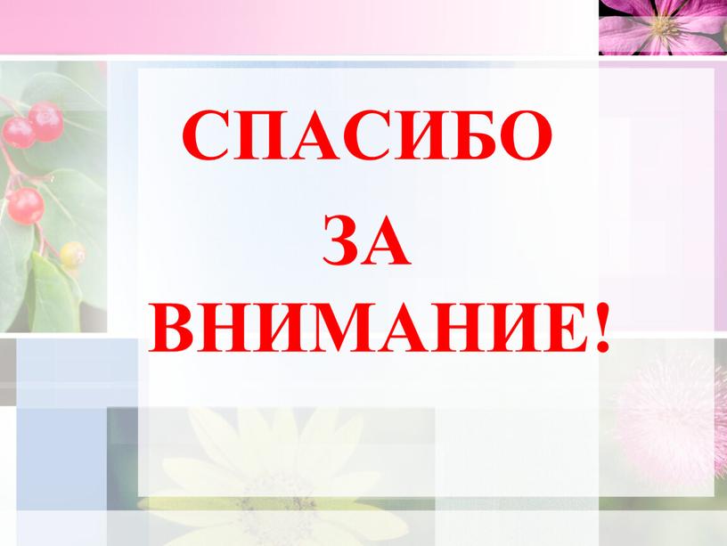 СПАСИБО ЗА ВНИМАНИЕ!