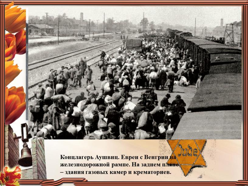 Концлагерь Аушвиц. Евреи с Венгрии на железнодорожной рампе