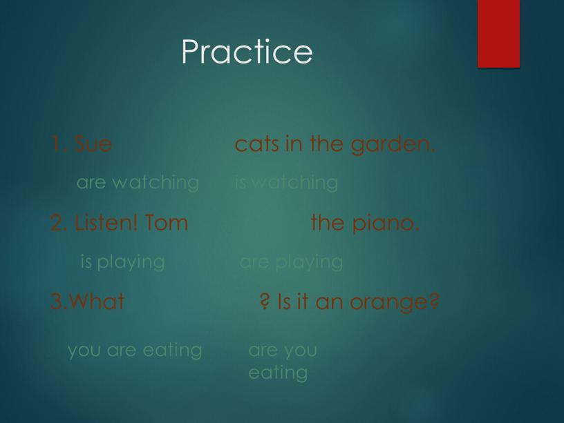 Practice 1. Sue cats in the garden