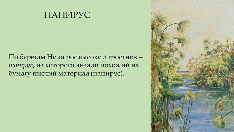 По берегам Нила рос высокий тростник – папирус , из которого делали похожий на бумагу писчий материал (папирус)