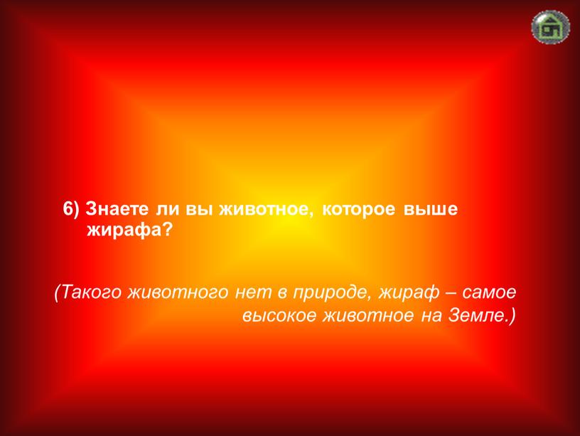 Такого животного нет в природе, жираф – самое высокое животное на