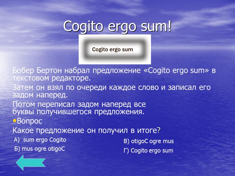 Cogito ergo sum! Бобер Бертон набрал предложение «Cogito ergo sum» в текстовом редакторе