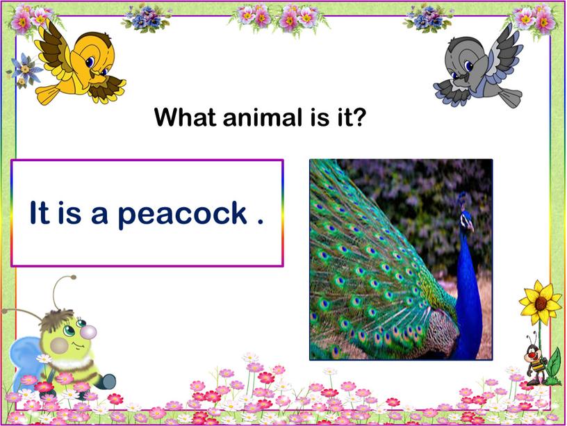 What animal is it? It is a peacock