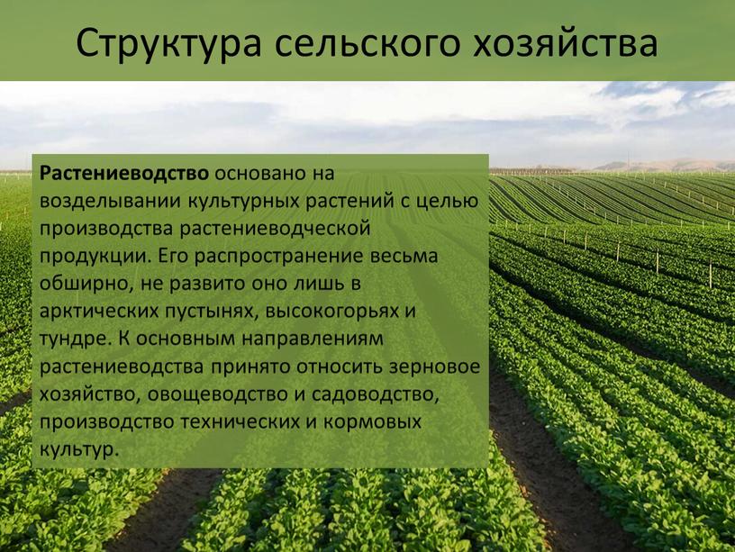 Структура сельского хозяйства Растениеводство основано на возделывании культурных растений с целью производства растениеводческой продукции