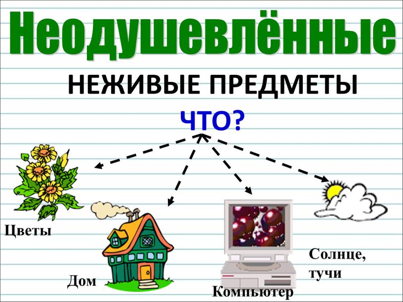 НЕЖИВЫЕ ПРЕДМЕТЫ ЧТО? Цветы