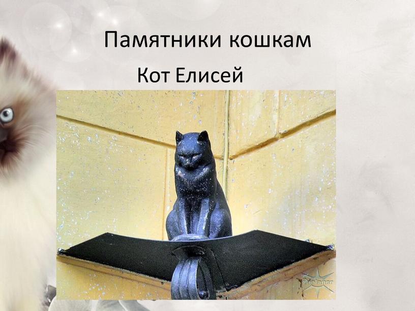 Памятники кошкам Кот Елисей