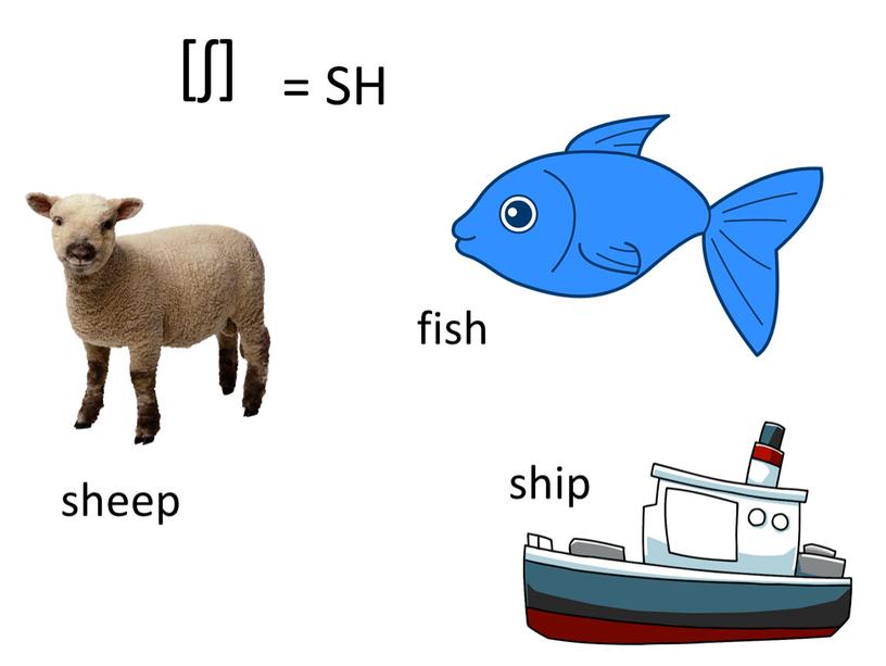 [ʃ] = SH sheep fish ship