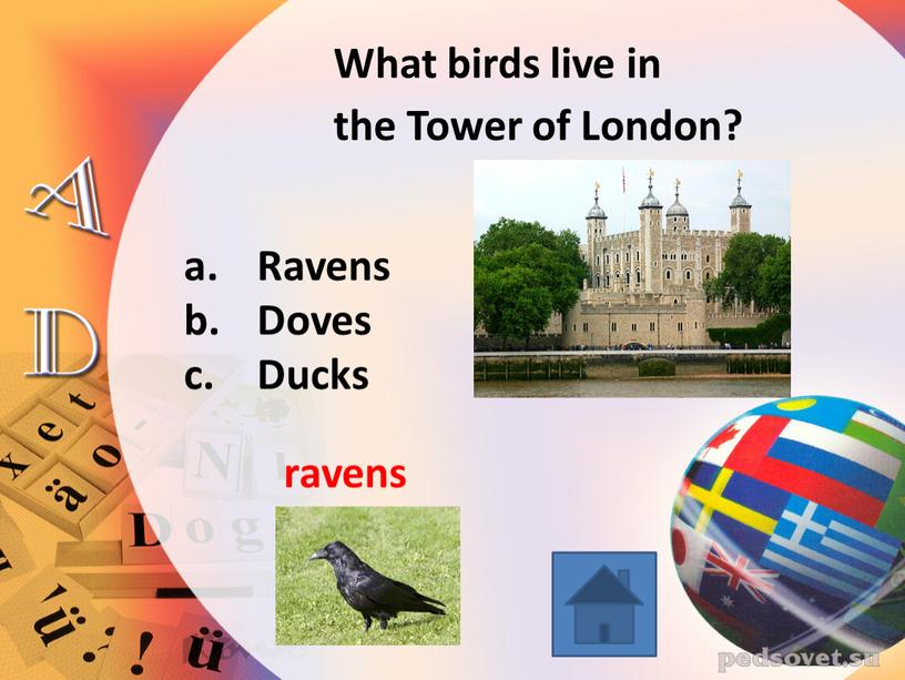 What birds live in the Tower of