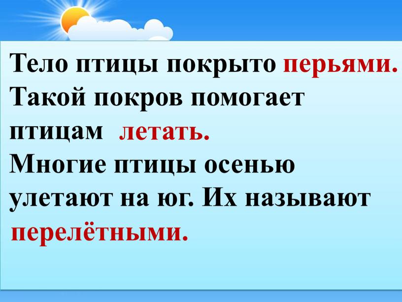 Тело птицы покрыто Такой покров помогает птицам