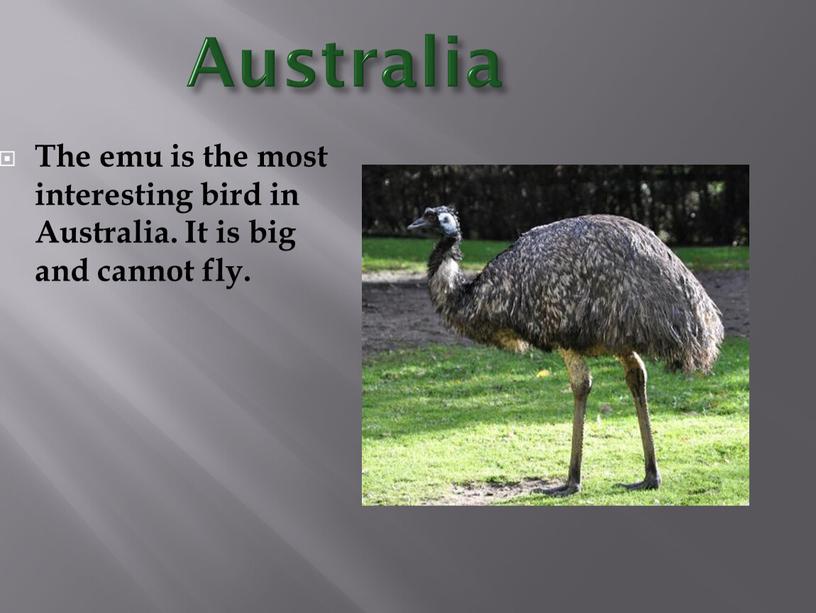 Australia The emu is the most interesting bird in