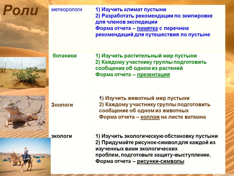 Роли метеорологи 1) Изучить климат пустыни 2)