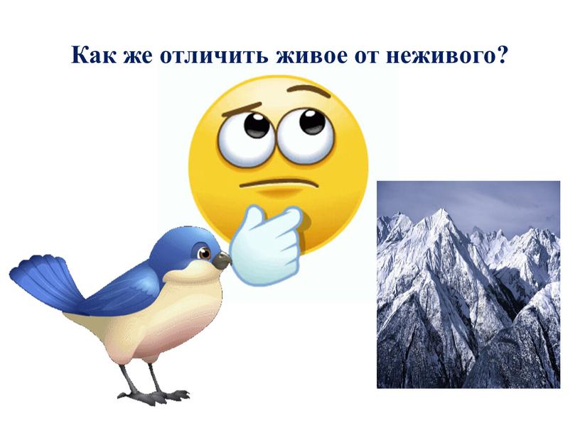 Как же отличить живое от неживого?