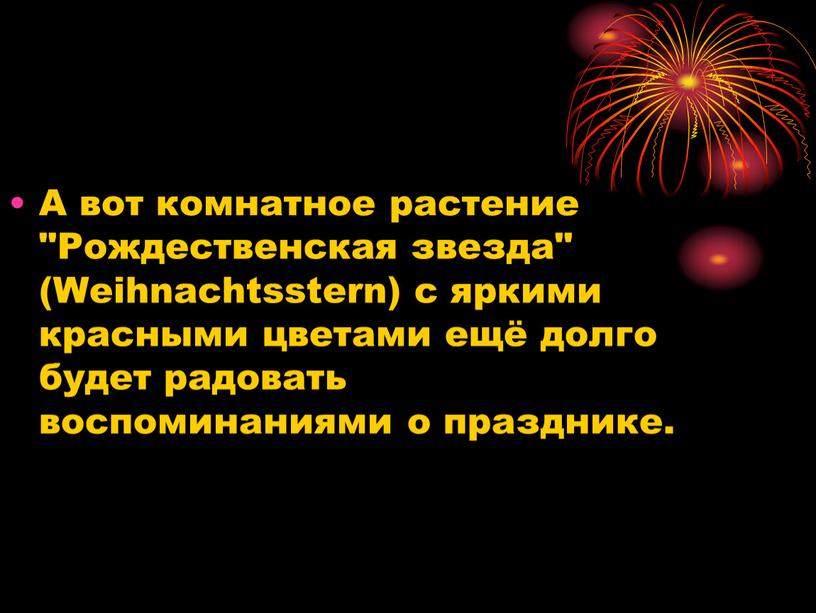 А вот комнатное растение "Рождественская звезда" (Weihnachtsstern) с яркими красными цветами ещё долго будет радовать воспоминаниями о празднике