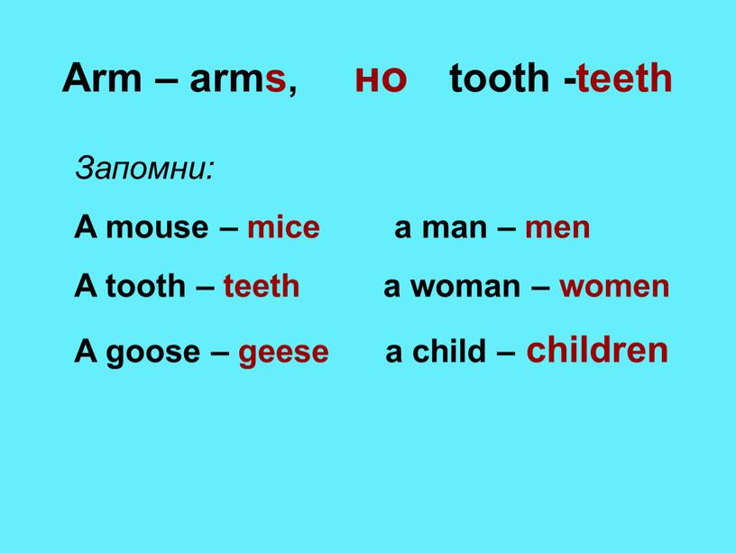 Arm – arms, но tooth -teeth