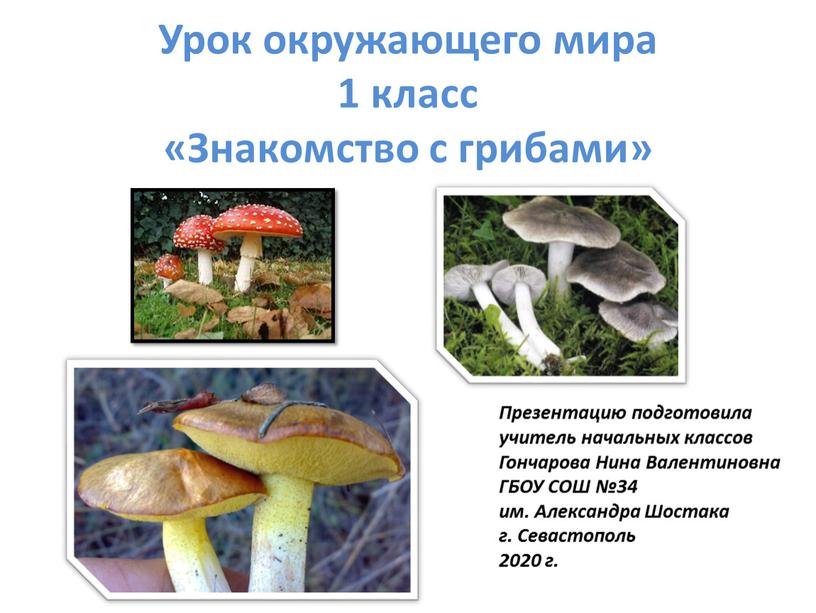 Урок окружающего мира 1 класс «Знакомство с грибами»