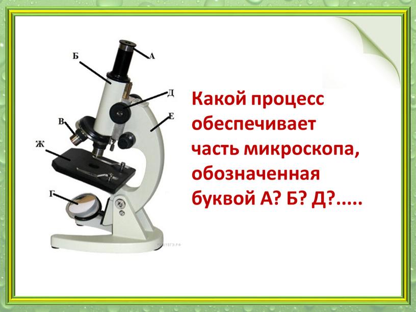 Какая функция выполняется частью микроскопа обозначенной на рисунке буквой б