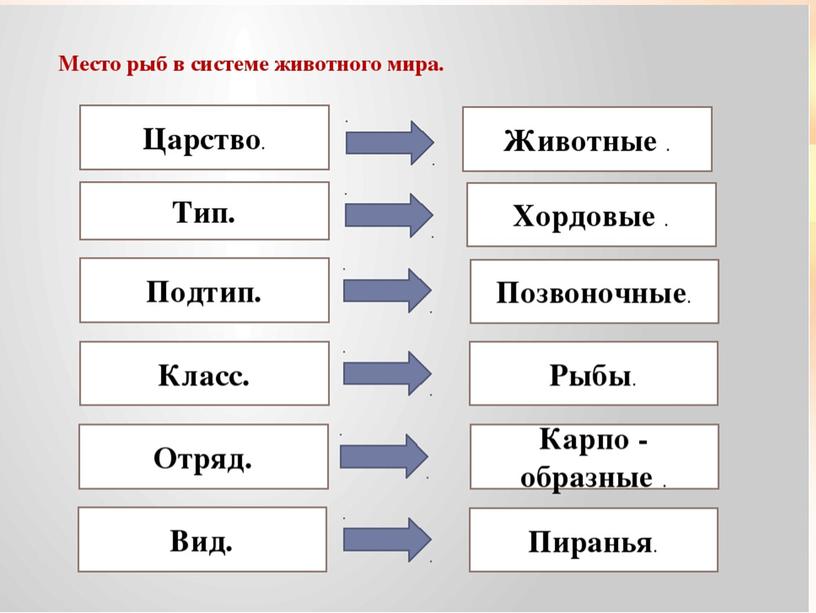 Методический материал по теме урока в 5 класса : "Многообразие животных"