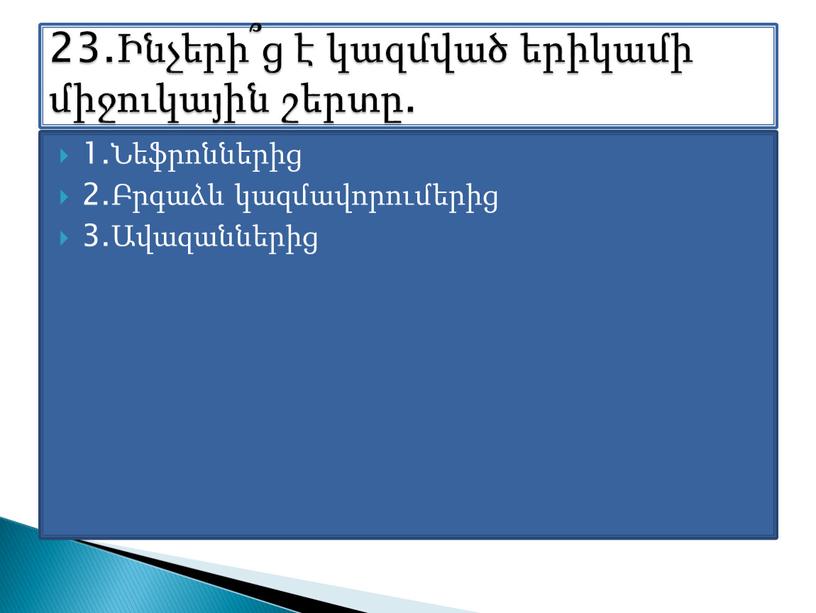 1.Նեֆրոններից 2.Բրգաձև կազմավորումերից 3.Ավազաններից 23.Ինչերի՞ց է կազմված երիկամի միջուկային շերտը.