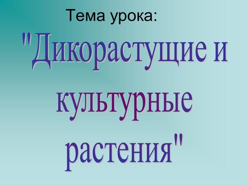 Тема урока: "Дикорастущие и культурные растения"