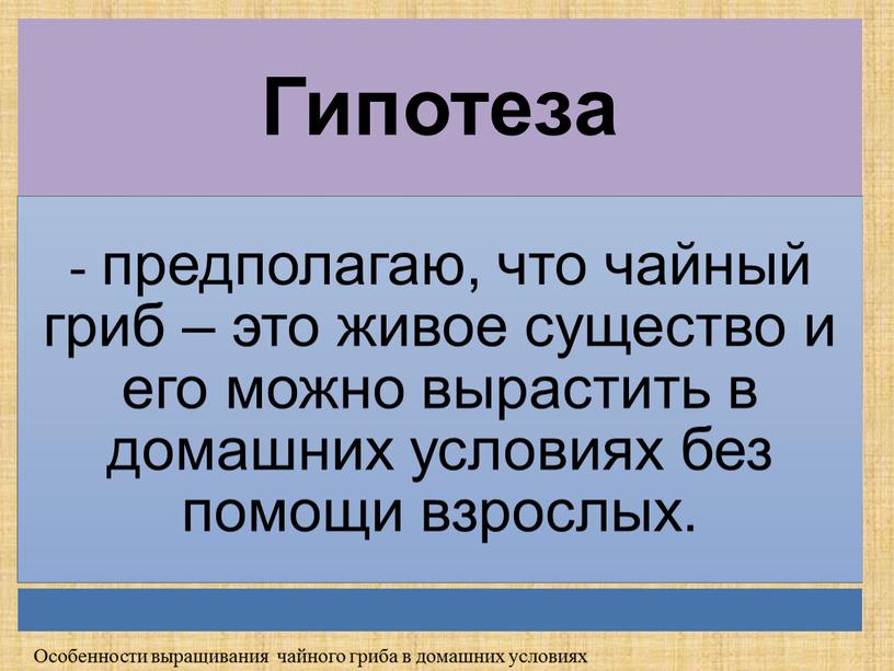 Особенности выращивания чайного гриба в домашних условиях