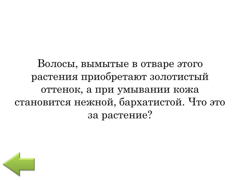 Волосы, вымытые в отваре этого растения приобретают золотистый оттенок, а при умывании кожа становится нежной, бархатистой