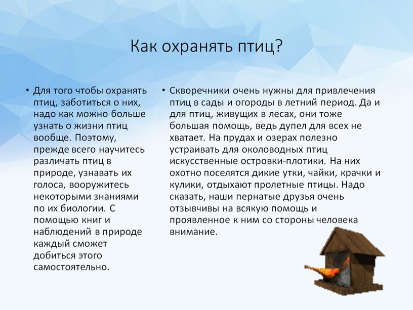 Как охранять птиц? Для того чтобы охранять птиц, заботиться о них, надо как можно больше узнать о жизни птиц вообще